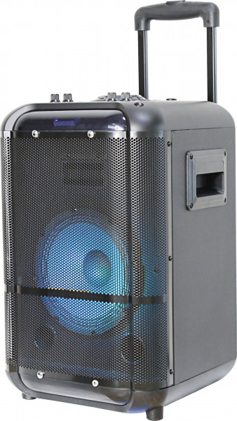 Denver TSP-306 Schwarz Bluetooth Lautsprecher 20W RMS MicroSD MP3 Radio AUX USB